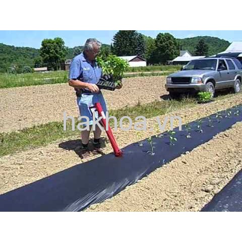 Máy trồng rau , máy trồng cây giống bằng tay